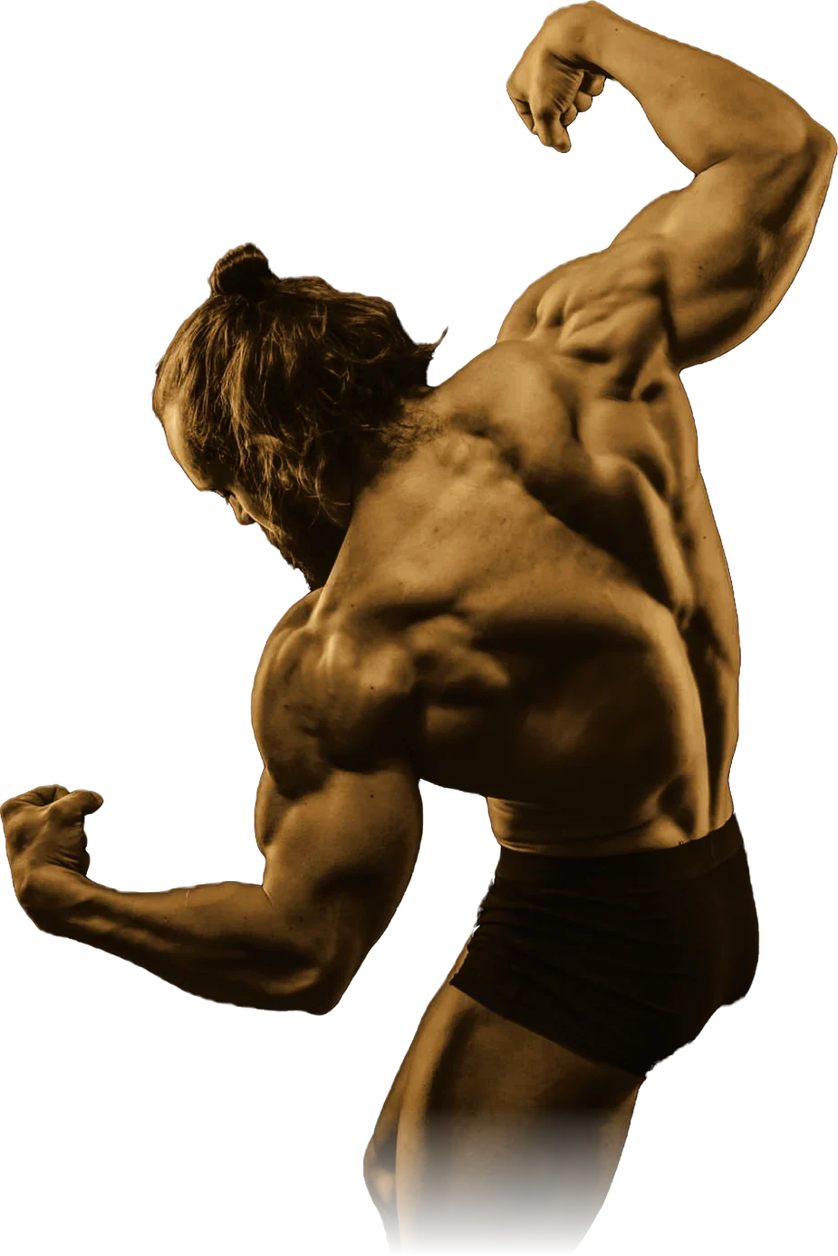 Hersovyac back double biceps