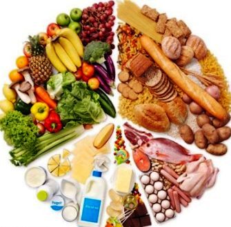Hersovyac ultimate diet guide online nutrition coach