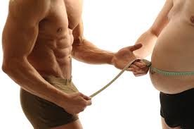 Hersovyac online personal trainer fatloss weightloss shredding Why You Can't Lose Fat