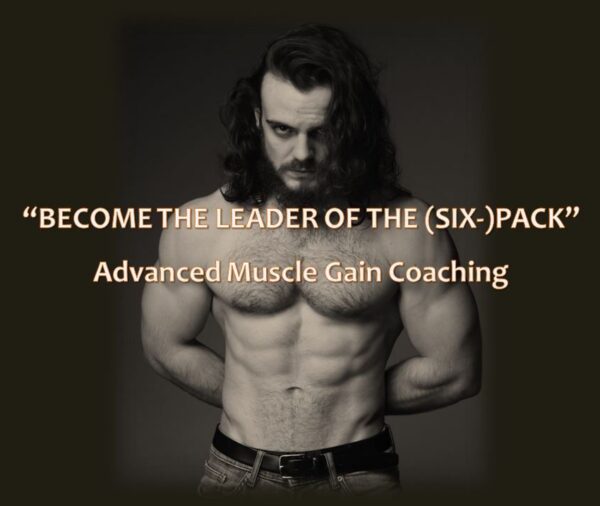 Hersovyac online personal trainer muscle gain bulk bulking program leader of the six pack