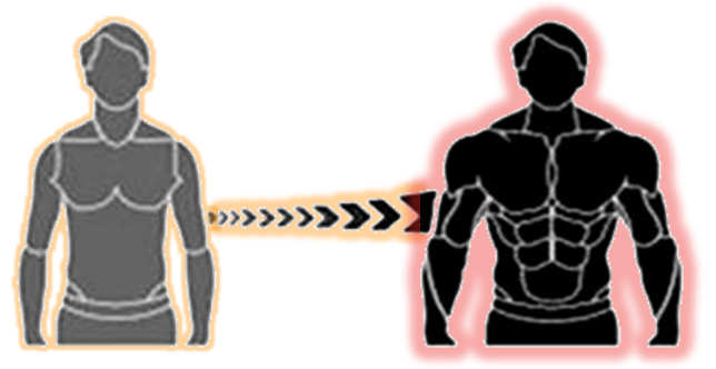 Hersovyac muscle gain training muscle mass diet plan clean bulk