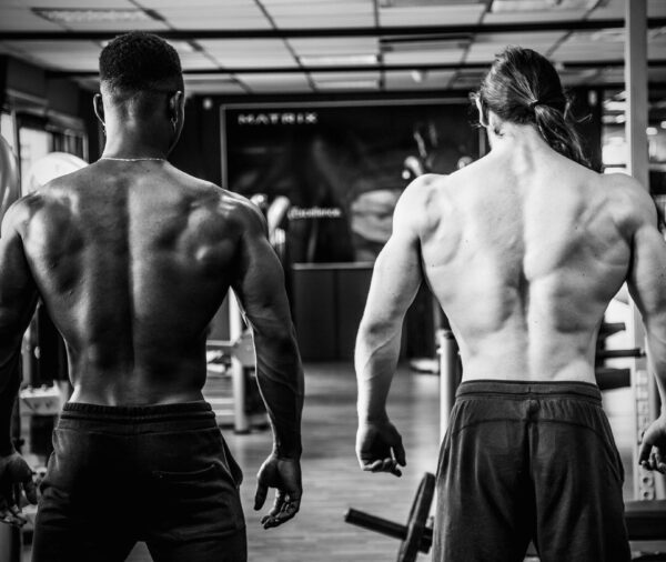 hersovyac online Fitness Training Program