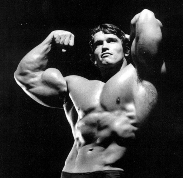 Arnold Full Body Training : the Golden Six