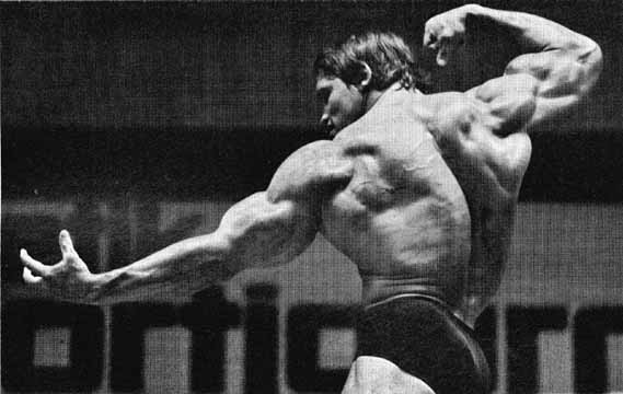 Arnold Powerbuilding Training