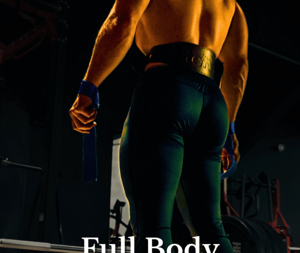 Full Body Training Ebook Hersovyac