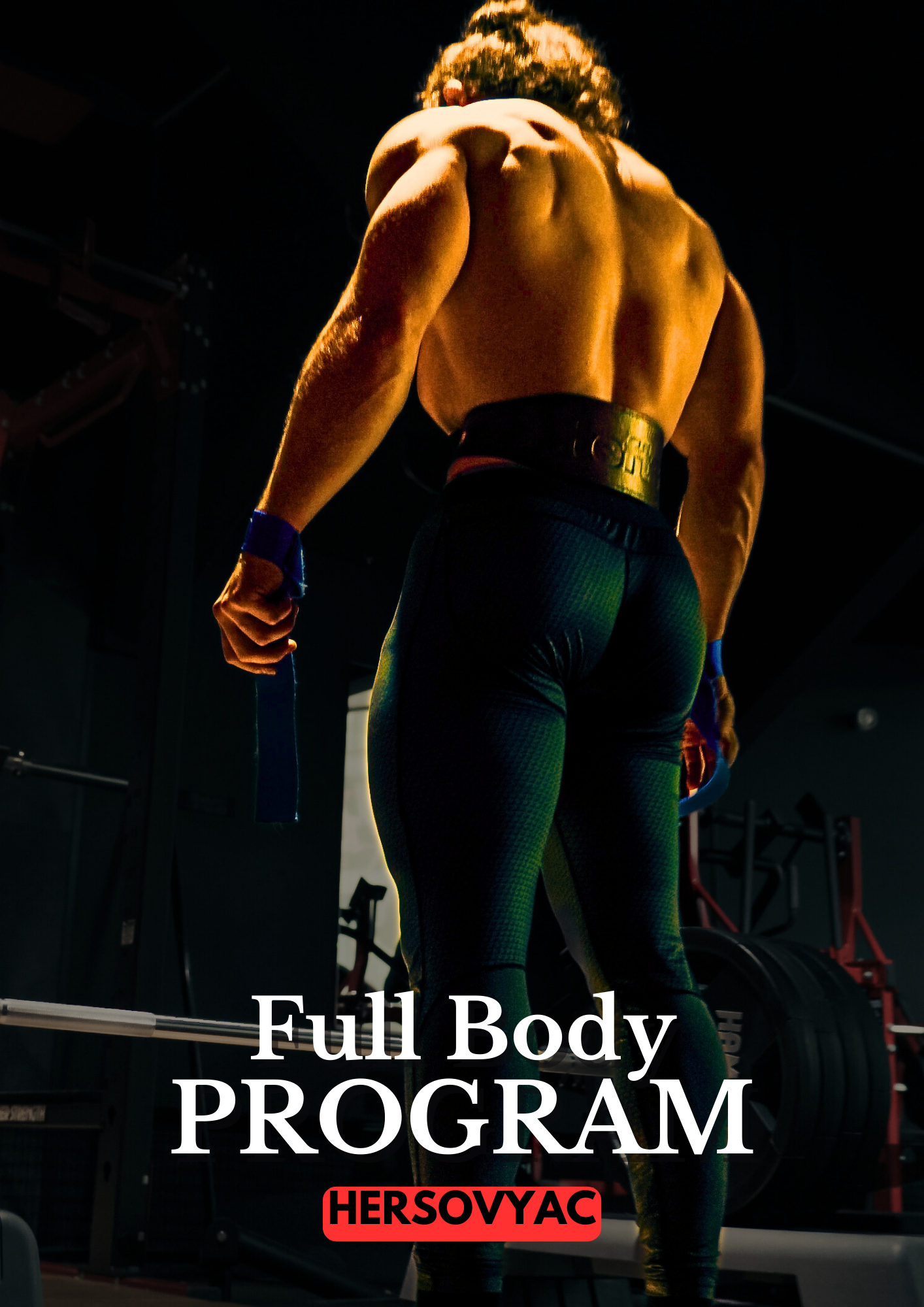 Full Body Training Ebook Hersovyac